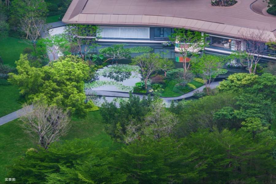 中建白云之星