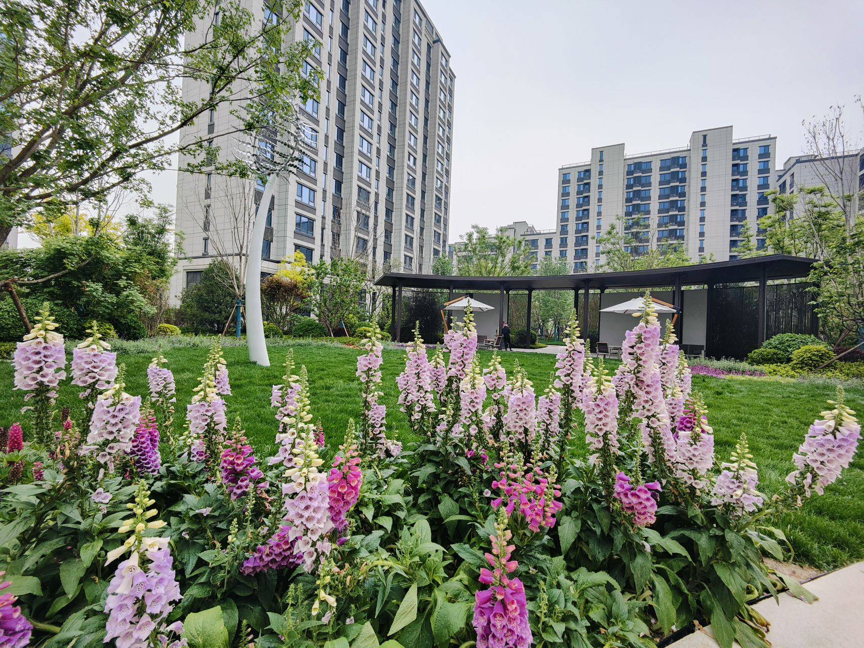 中绿东岳府