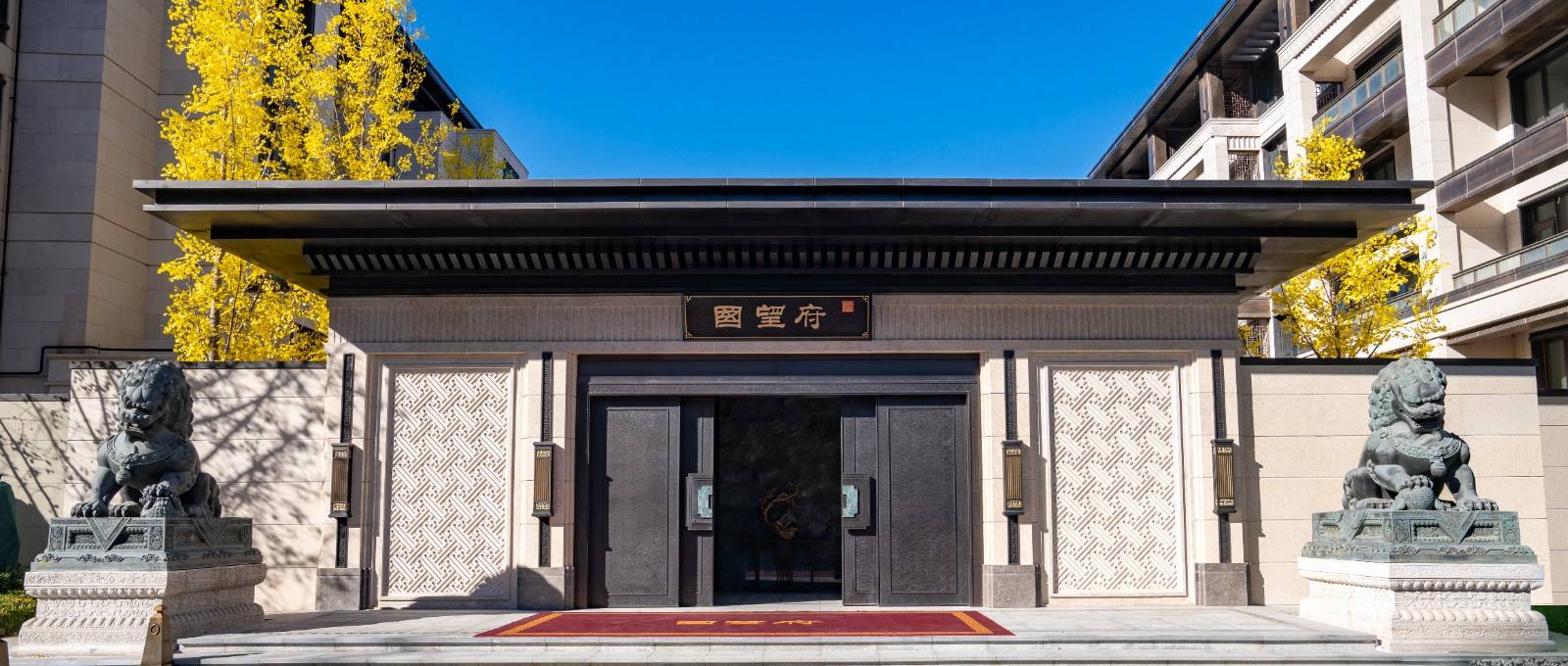 中建国望府