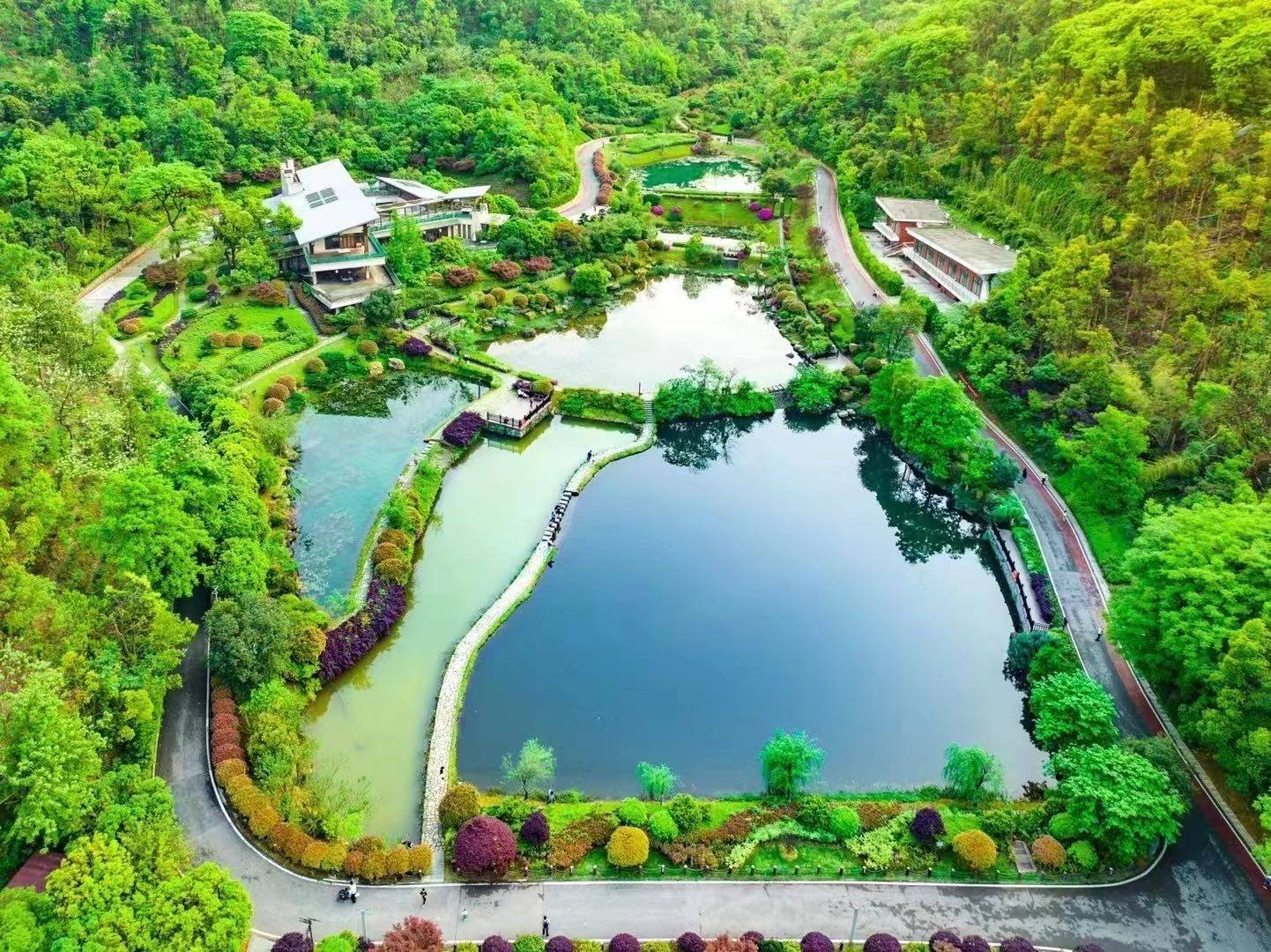 梦想中央公园