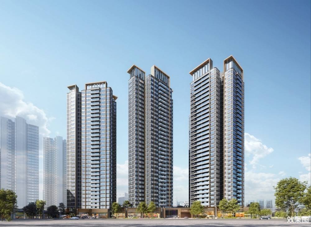中建观玥
