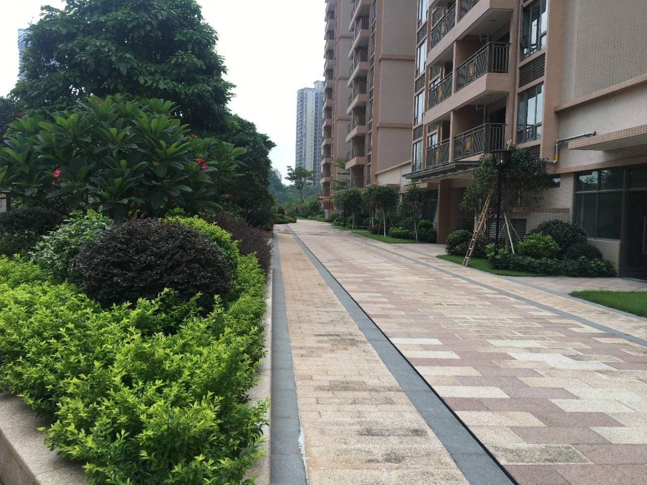金泽惠百氏