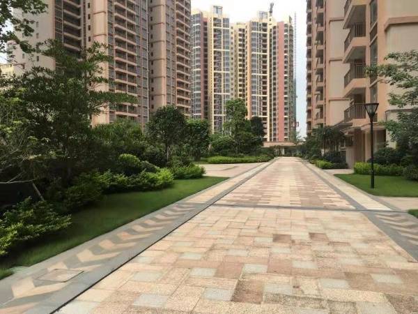 金泽惠百氏