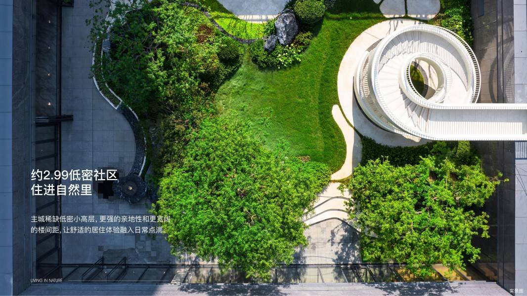 郑轨云麓