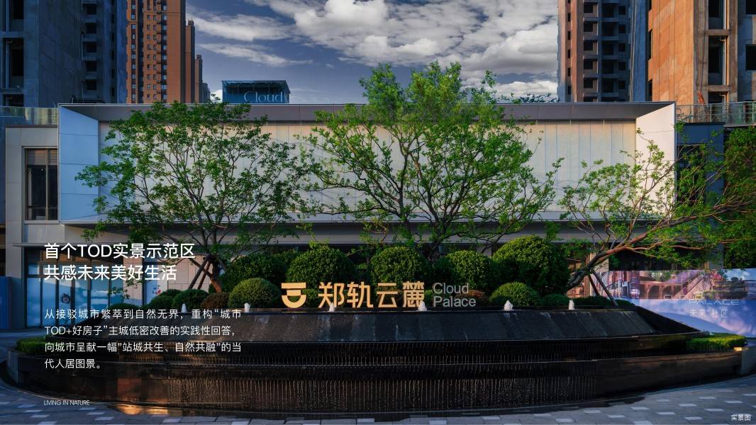 郑轨云麓