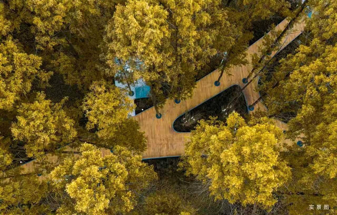 城投红树林