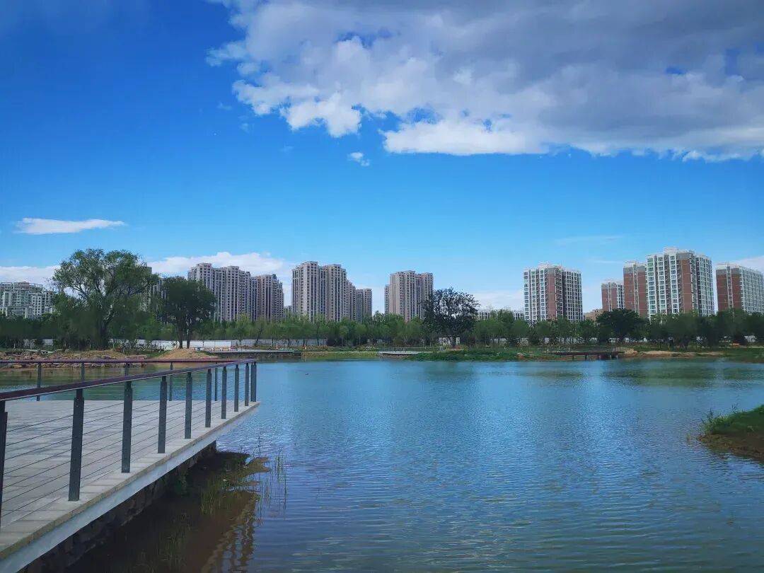 中海九棵树