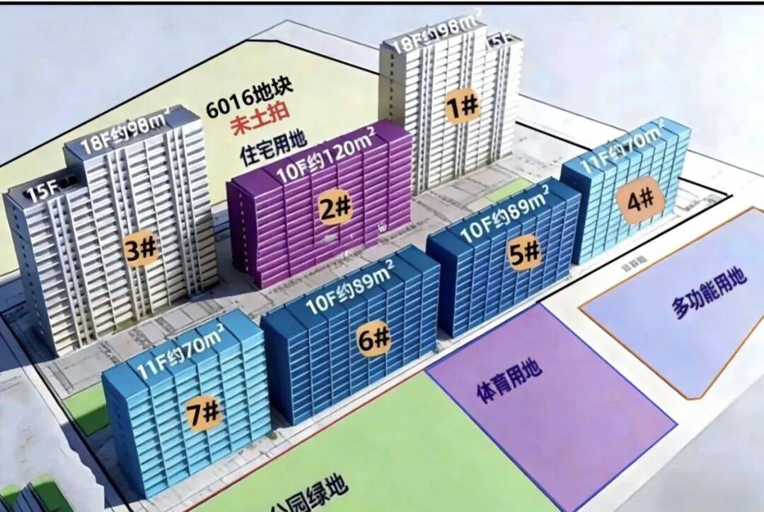 中海九棵树