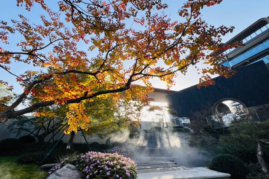 金泰和序