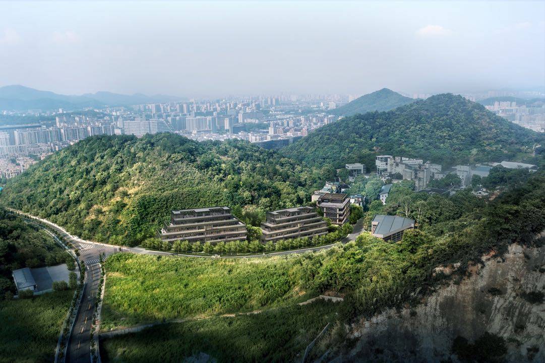 云树望山院