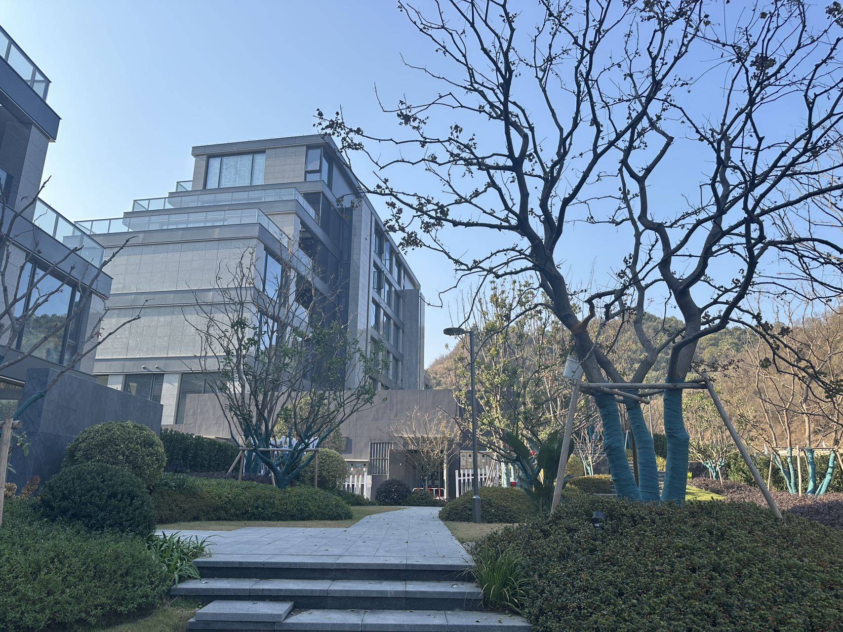 云树望山院