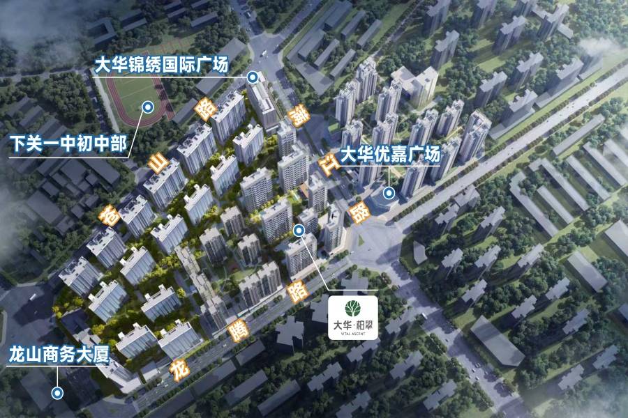 大华柏翠