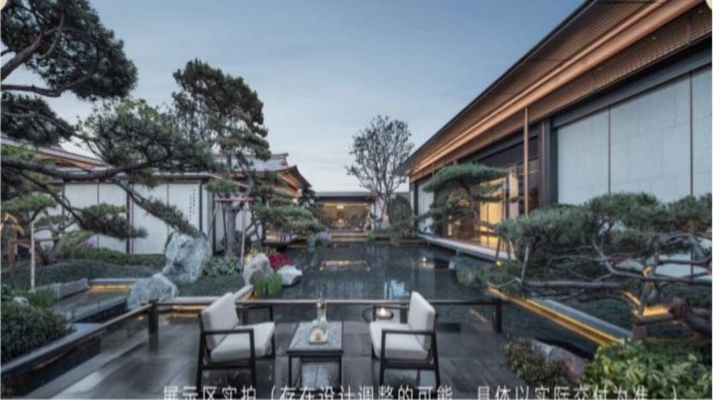 建发五缘鲤